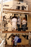 Stage Anpep - ATELIERS Pédagogiques