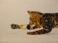 jannick-chiraux - PEINTURES MURALES