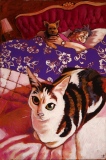 L'heure à mère. - EXPO: Chiraux chez Chapo.